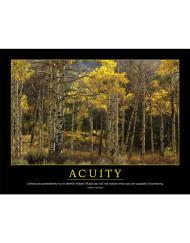 Acuity Poster