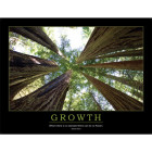 Growth Poster