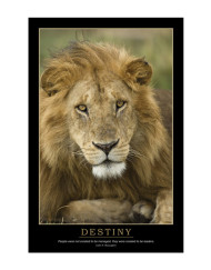 Destiny Motivational Poster with Lion